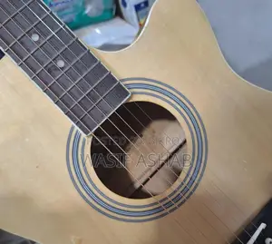 Guitar (Tayste T401-N)
