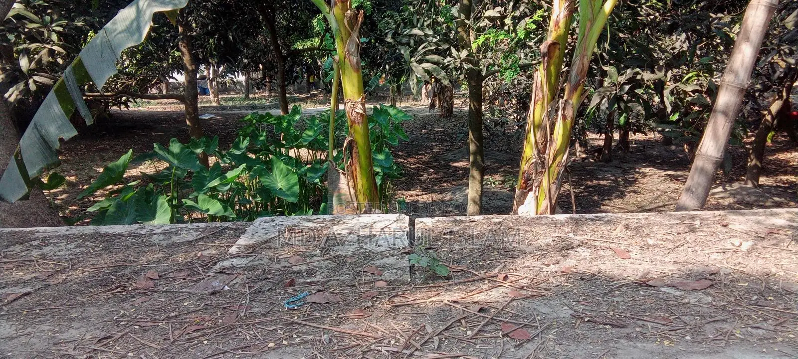 জরুরি 🏡 জমি বিক্রয় হবে (রাজশাহী সিটি) সরাসরি জমির মালিক থেকে