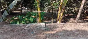 জরুরি 🏡 জমি বিক্রয় হবে (রাজশাহী সিটি) সরাসরি জমির মালিক থেকে