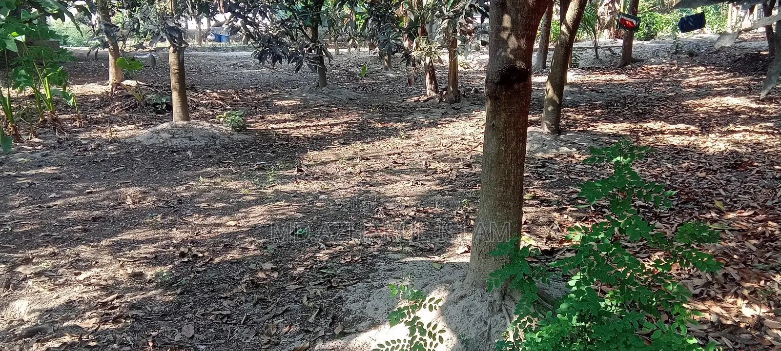 জরুরি 🏡 জমি বিক্রয় হবে (রাজশাহী সিটি) সরাসরি জমির মালিক থেকে