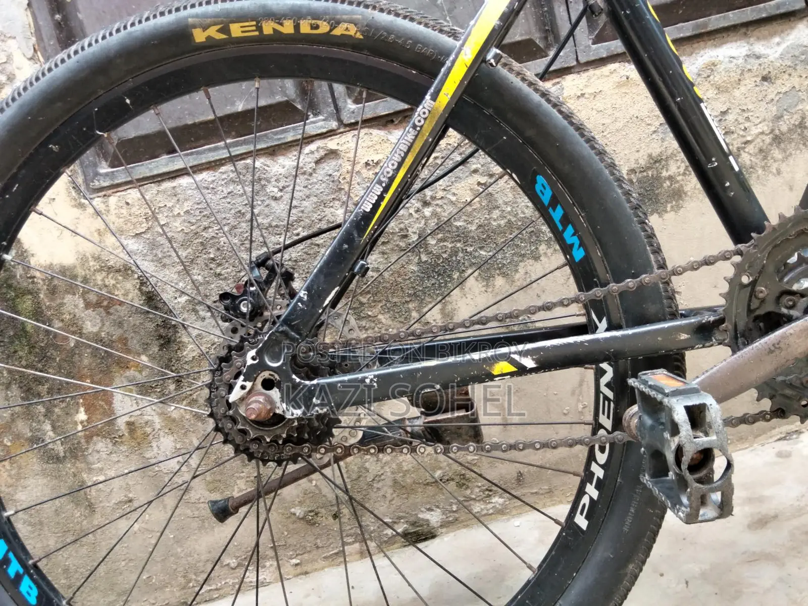 Phoenix Cycle