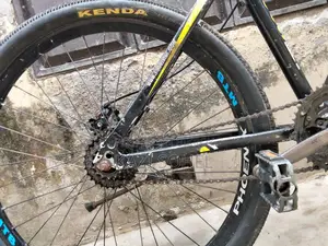 Phoenix Cycle