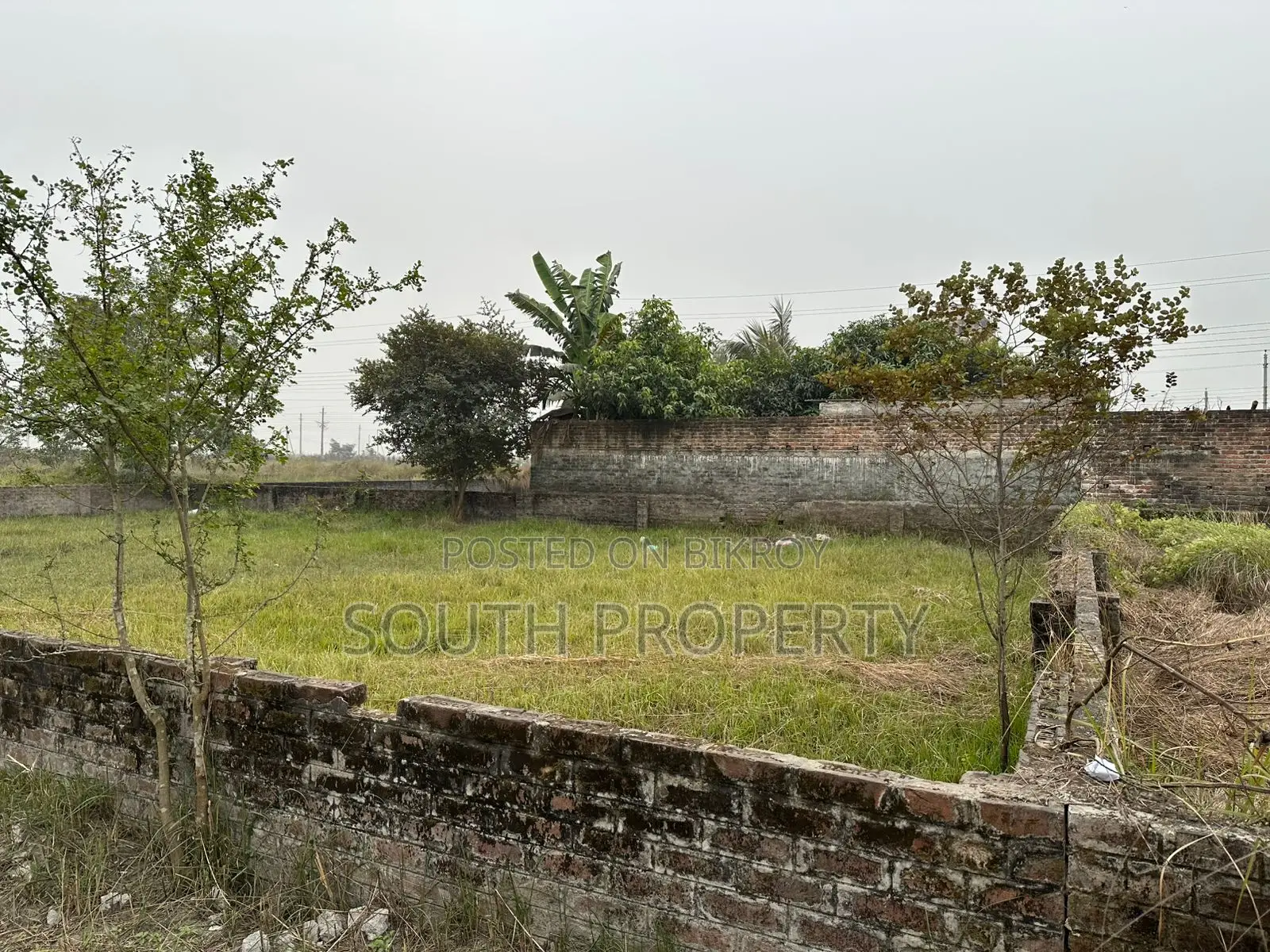 3-Katha South Facing Plot for Sale in Block N, Bashundhara, Baridhara
