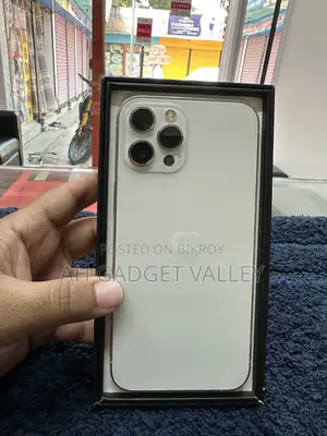 Apple iPhone 12 Pro Max (Used)
