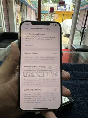 Apple iPhone 12 Pro Max (Used)