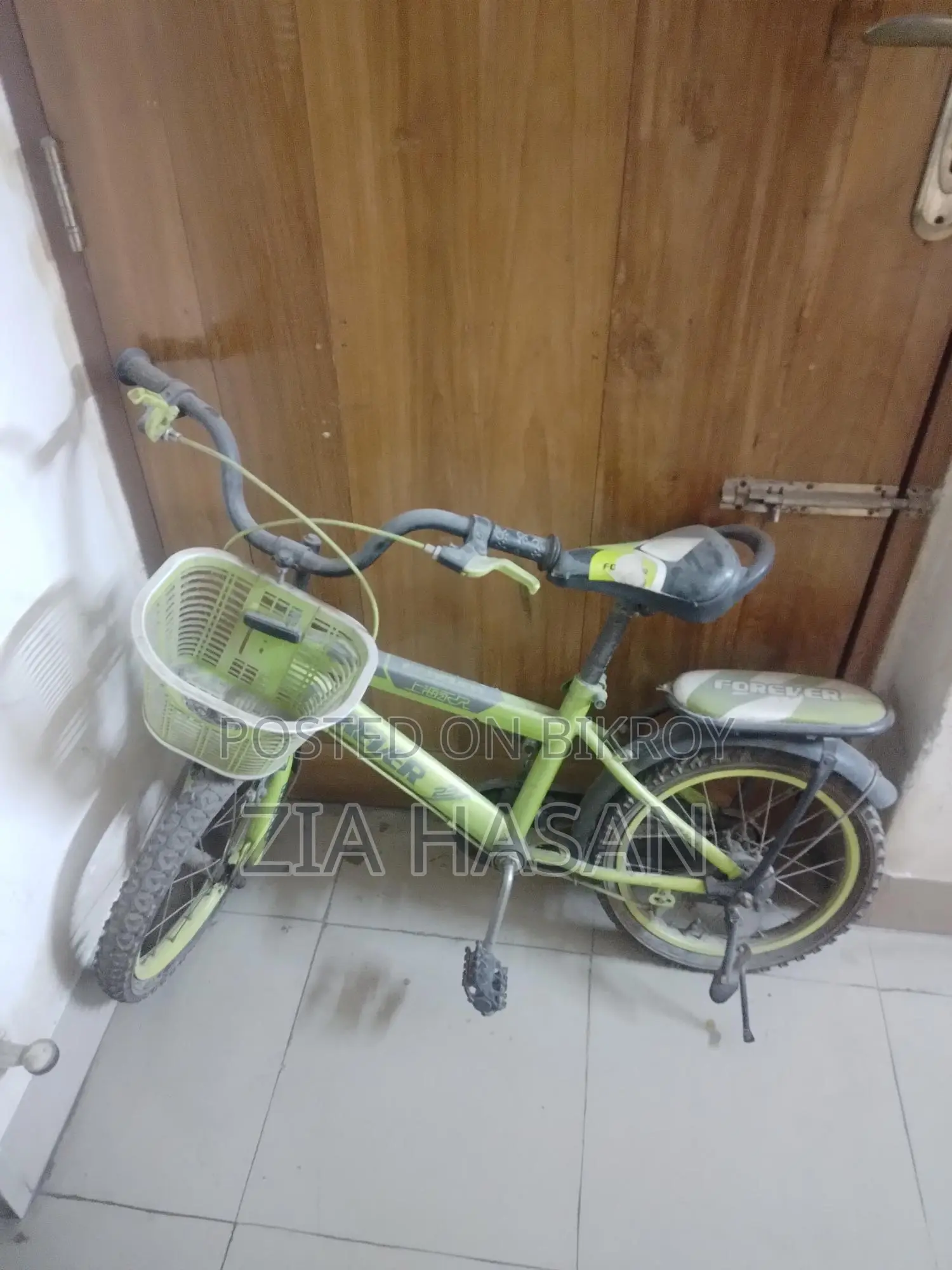 সাইকেল ও ঘোড়ার গাড়ি