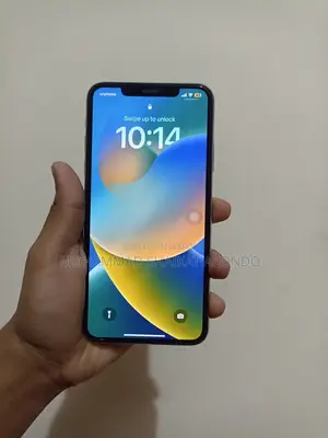 Apple iPhone 11 Pro Max 256 GB (Used)