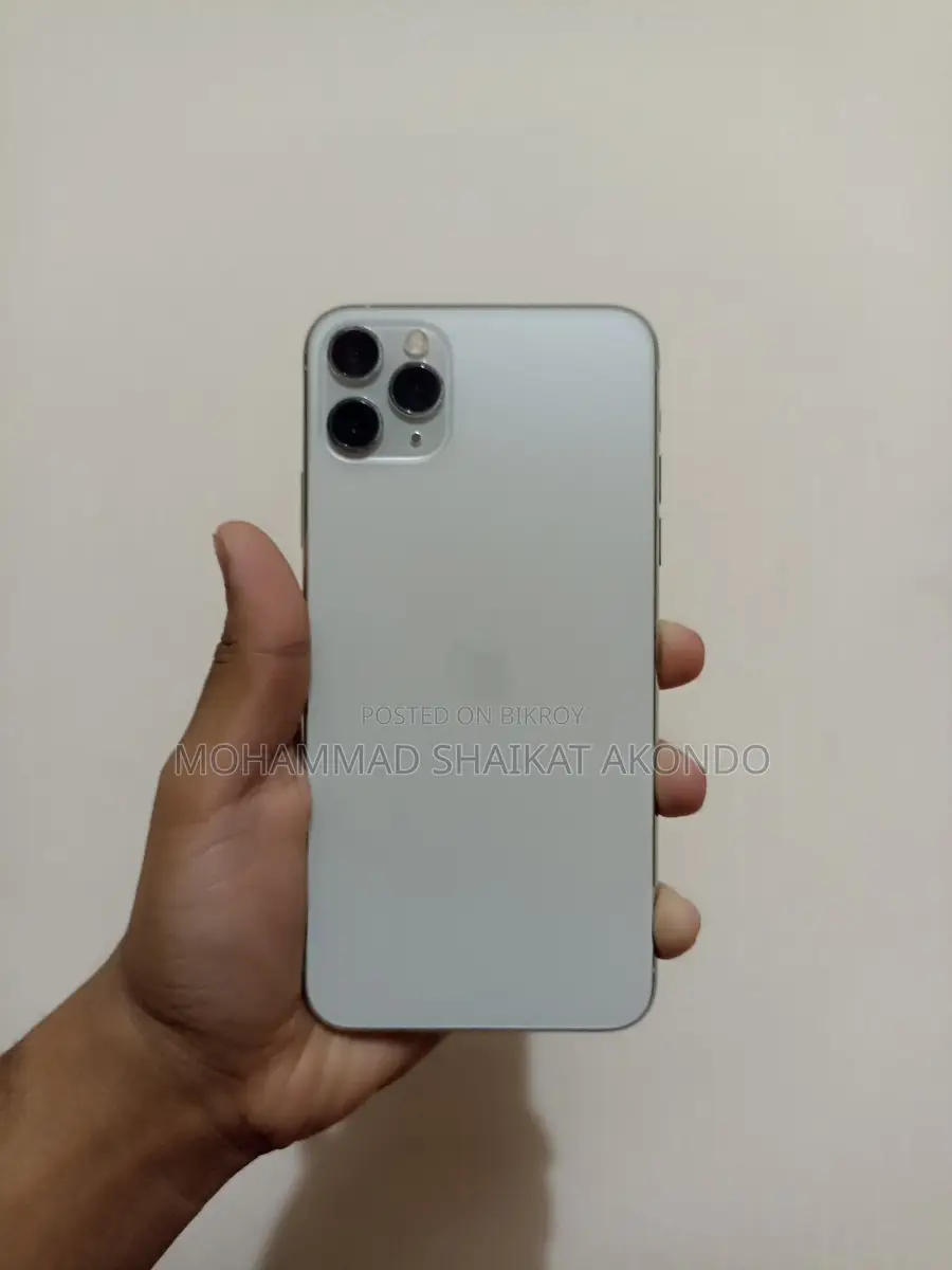 Apple iPhone 11 Pro Max 256 GB (Used)