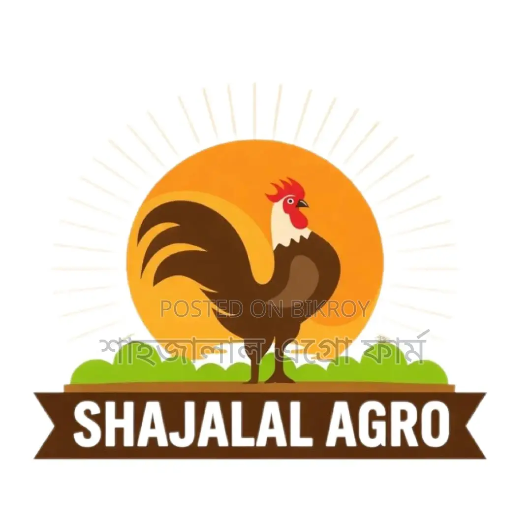 জাপানি কোয়েল পাখির বীজ ডিম