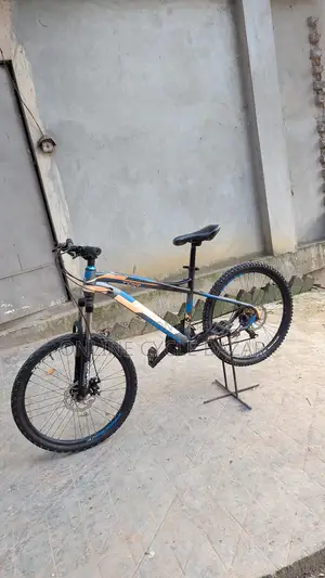 Phoenix Full Ok Kono Kaj Nai