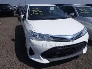 Toyota Axio EX 2020