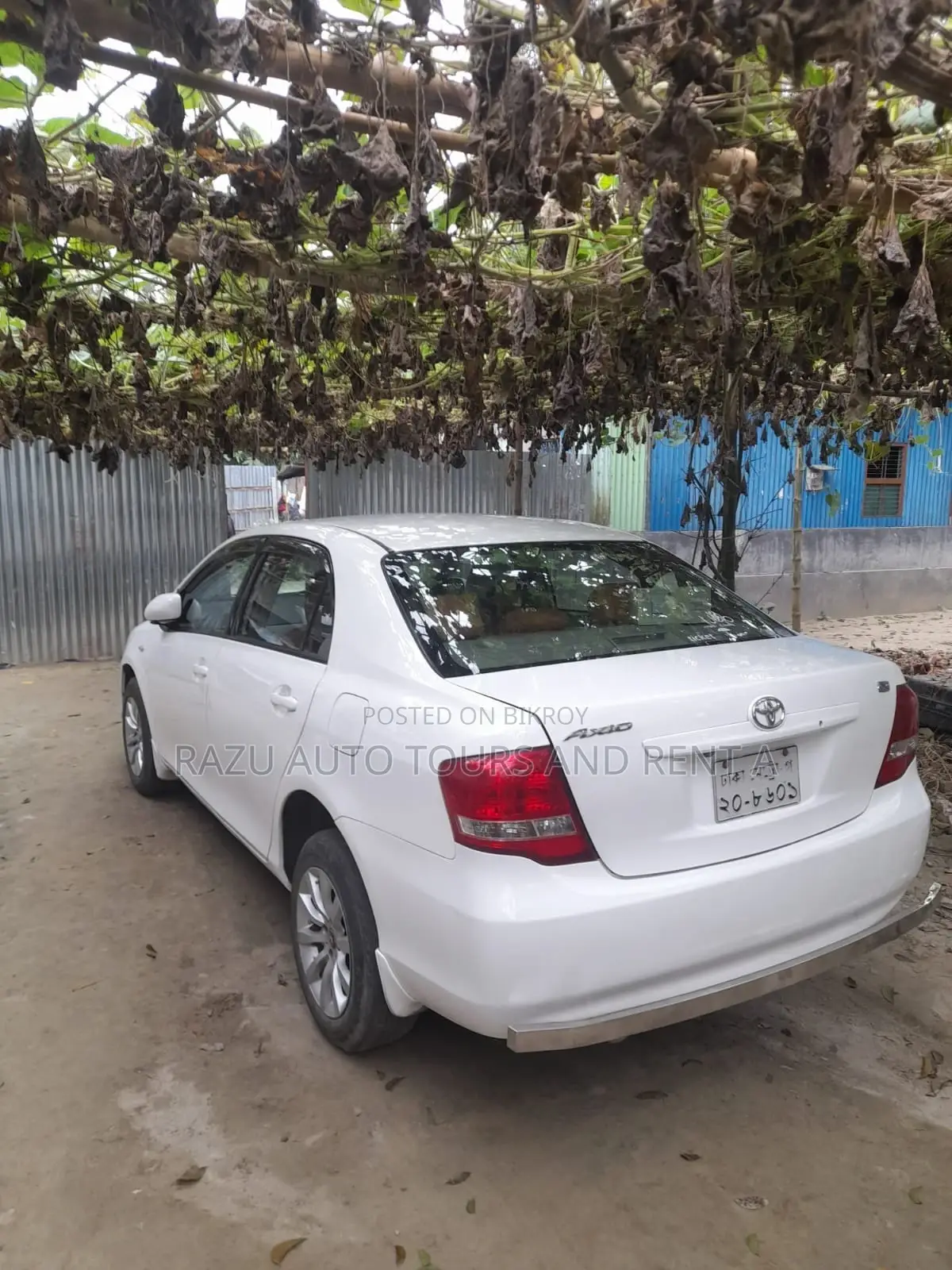 Axio For Rent