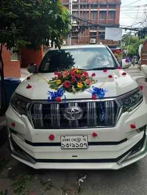 Prado For Rent