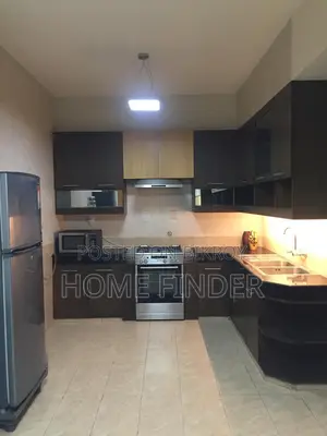 Luxurious Fully Furnished Apt: Rent In GULSHAN 2