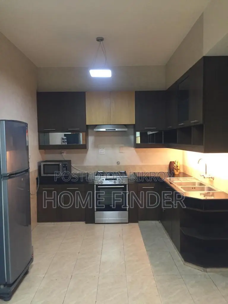 Luxurious Fully Furnished Apt: Rent In GULSHAN 2