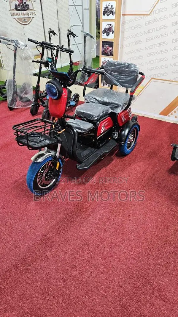 Ebike 2024
