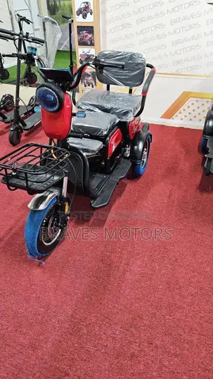 Ebike 2024