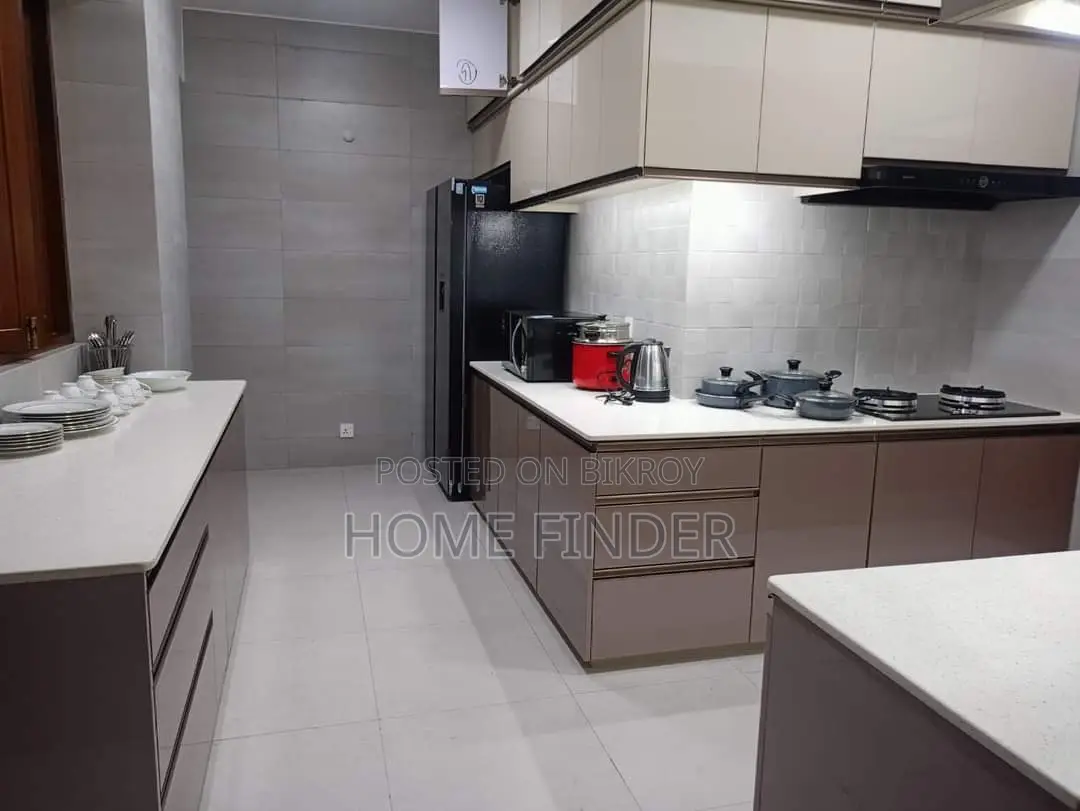 Brand New Full Furnished Apartment For Rent In Gulshan