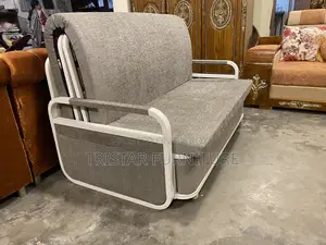 Steel Sofa Cum Bed to Sleep 2 People Scb02f