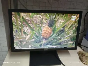 Monitor for Sale