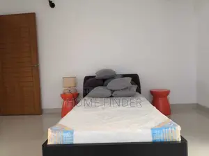 Fully Furnished Excellent Apartment Rent in Gulshan (2)