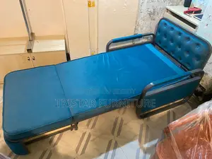 State-of-the-art Sofa Cum Bed