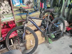 Phoenix 26 Size Cycle পুরাতন