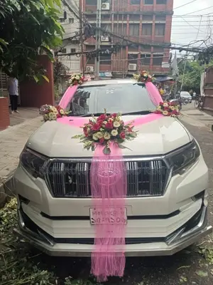 Prado For Rent