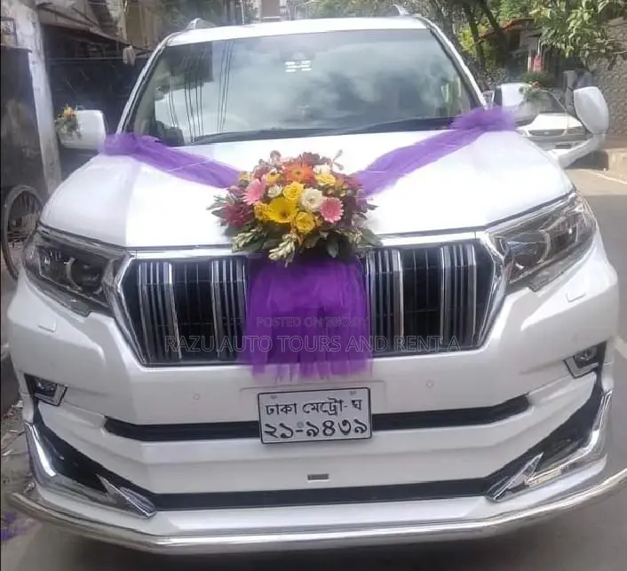Prado For Rent