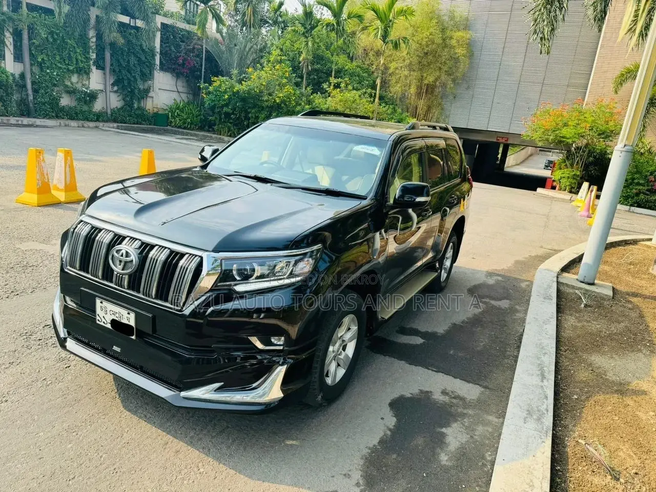 Prado For Rent