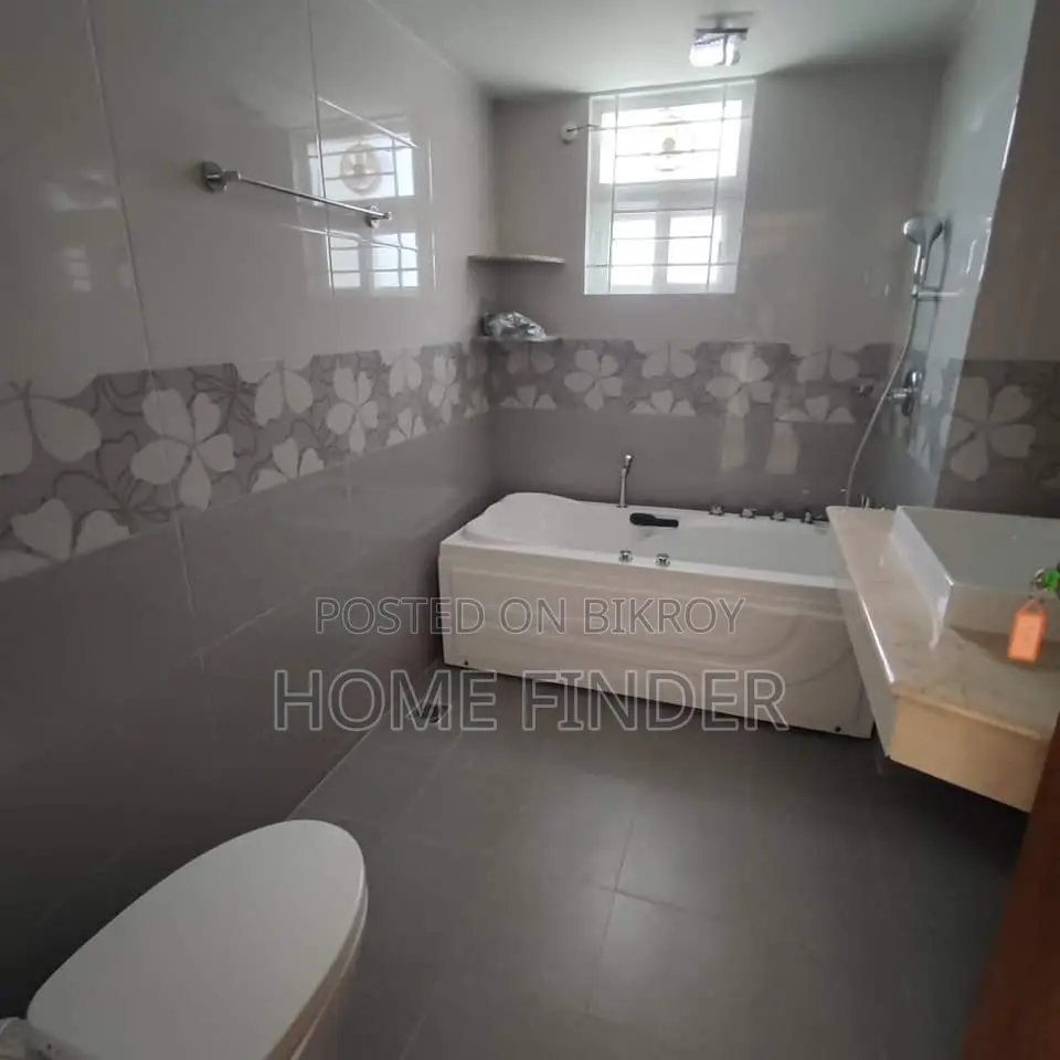 Semi Furnished Ready Luxurious Apartment Rent In GULSHAN 2