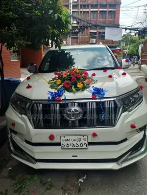 Prado For Rent