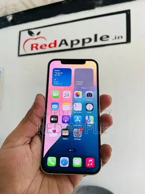 Apple iPhone 12 64 Gb Waterproof (Used)
