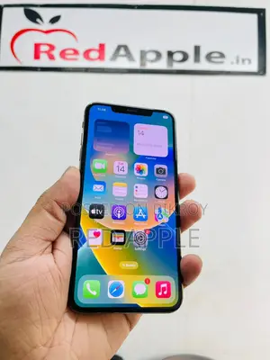 Apple iPhone XS Max 256 GB Full Fresh (Used)
