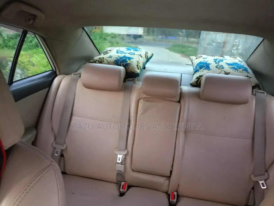 Alion Car for Rent