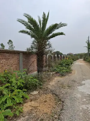 ৫ কাঠা প্লট @ পূর্বাচল সেক্টর-৩