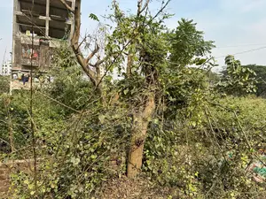 3+3=6 KATHA JOIN PLOT SALE 17K