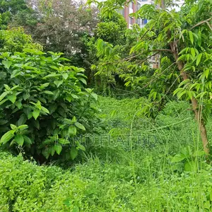 100% Ready-to-Build 7.92 Katha Plot for Sale