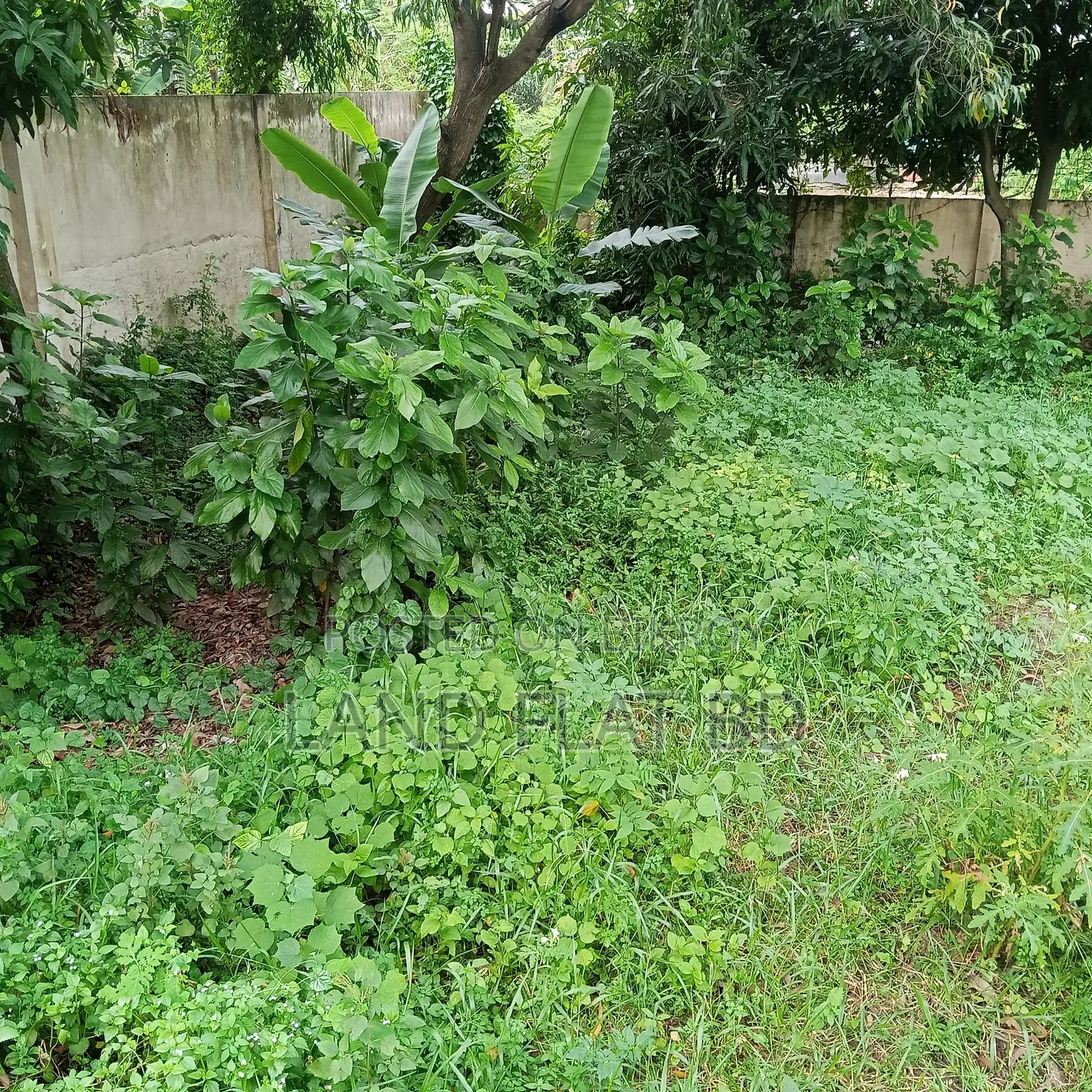 100% Ready-to-Build 7.92 Katha Plot for Sale