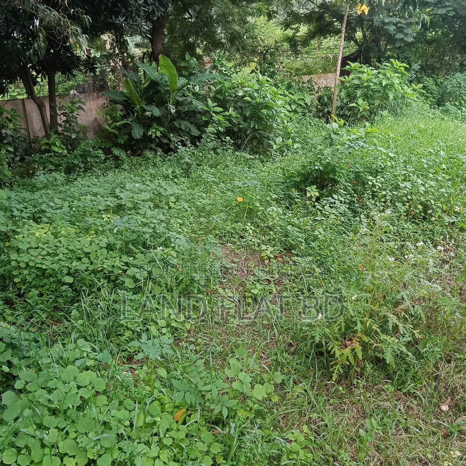 100% Ready-to-Build 7.92 Katha Plot for Sale