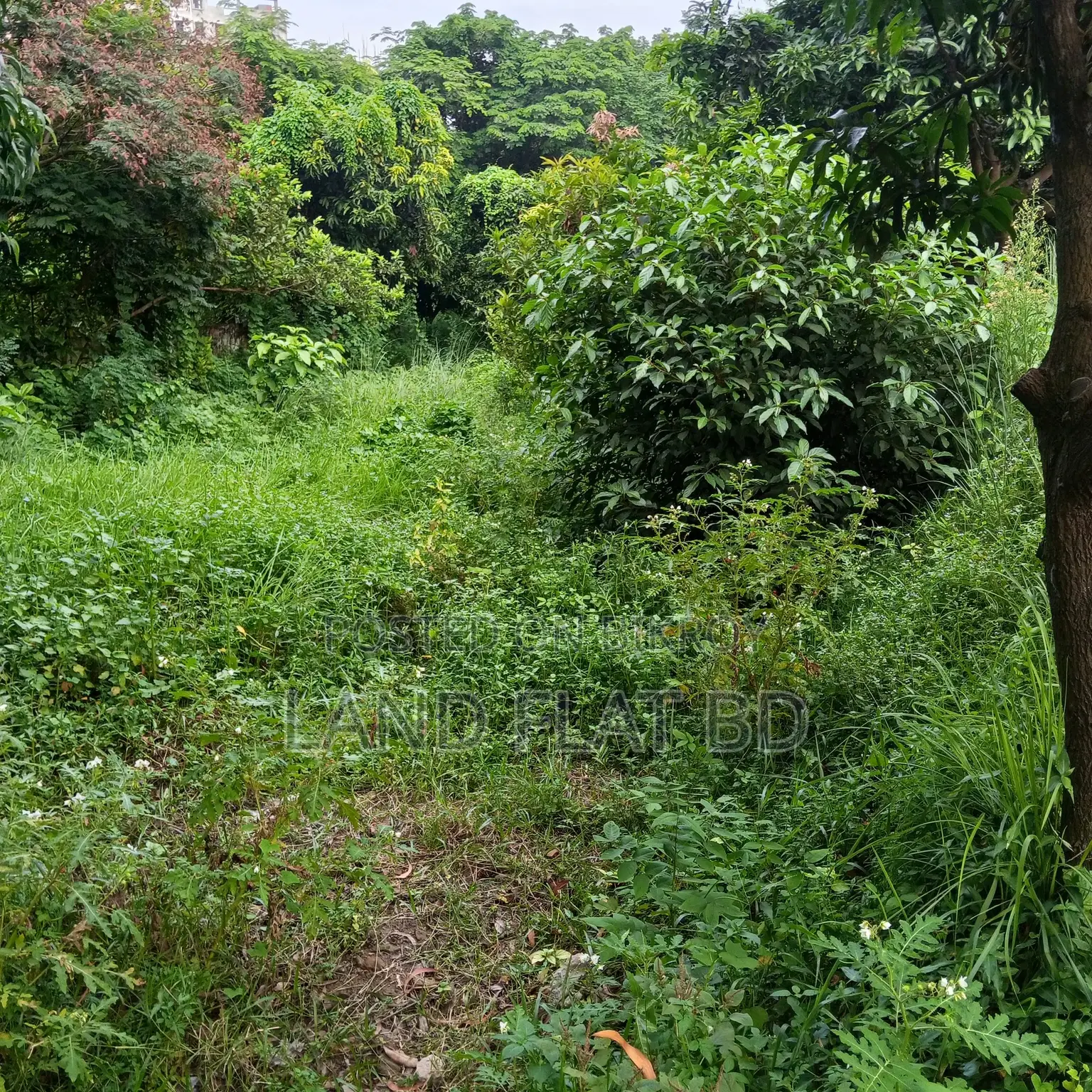 100% Ready-to-Build 7.92 Katha Plot for Sale