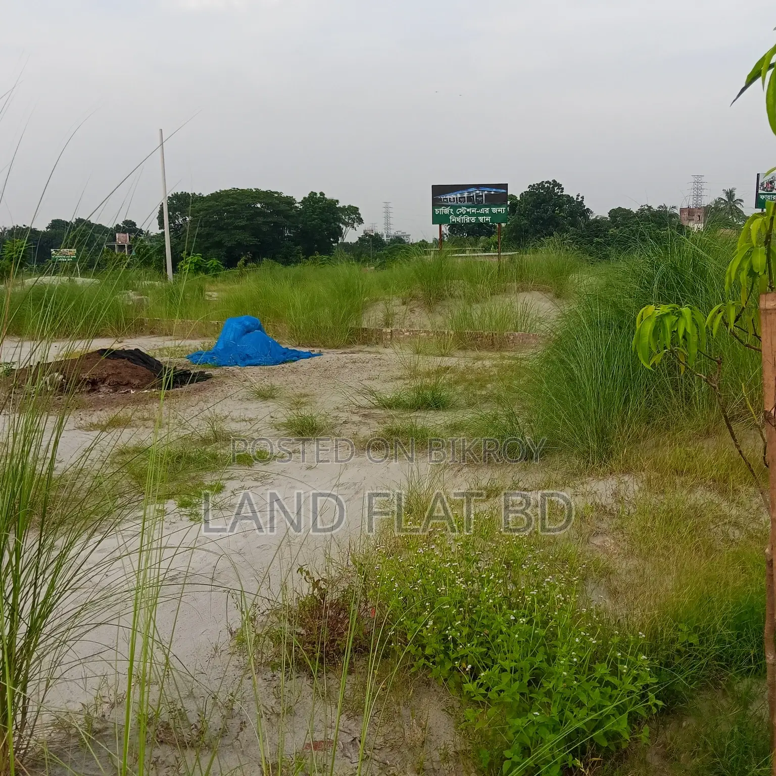 32.63 Katha Plot for Sale, Perfect for South/North-Facing Homes