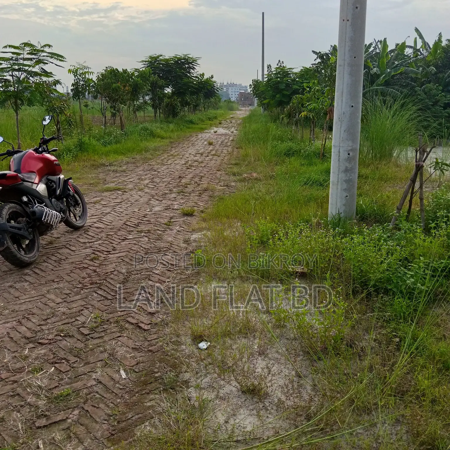 32.63 Katha Plot for Sale, Perfect for South/North-Facing Homes