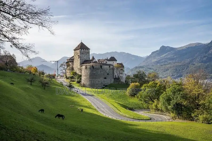Obtain a European Schengen (Liechtenstein) Visa with the 3-6-15 Formula
