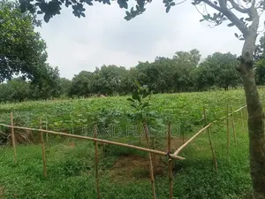 কম দামে,নিট প্লট বসবাসের উপযোগী @ ৩/৫/১০ কাঠা জমি বিক্রি হইবে