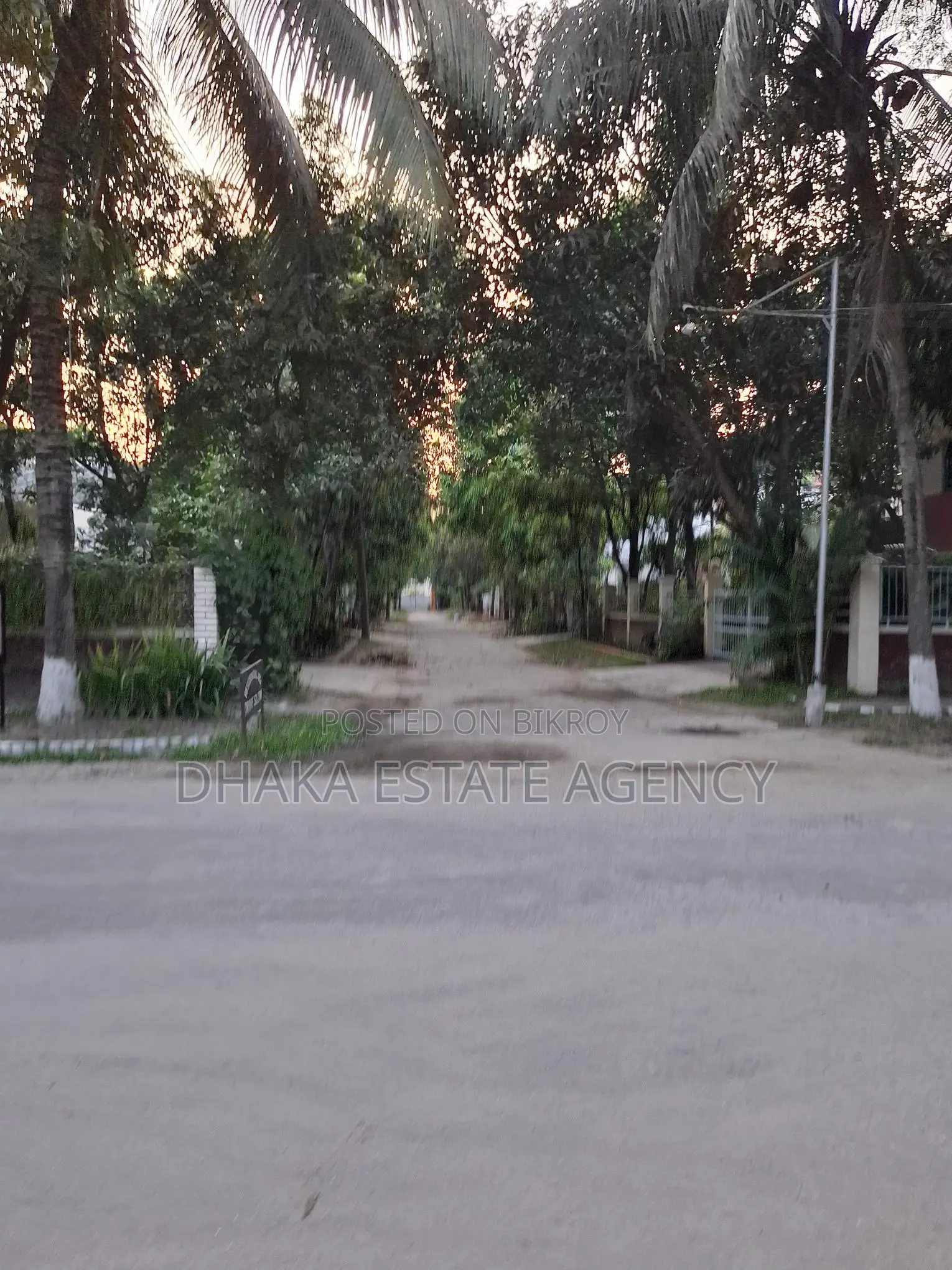 VERY URGENT NIKUNJO=1, 3 KATHA PLOT FOR SALE