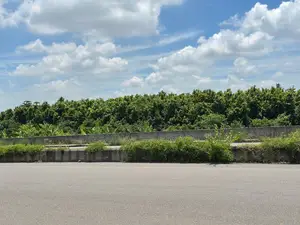 Plot for sale next to the commercial zone on Purbachal 54' Avenue.