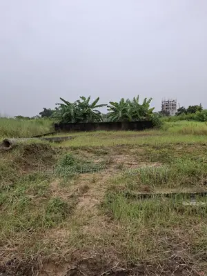 সাউথ ফেস ৩ কাঠা সেক্টর ৫