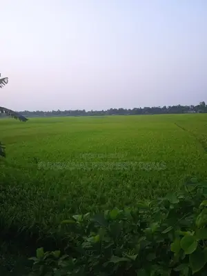 Premium Investment in Rupganj: 70 Decimals of Land Ready for You