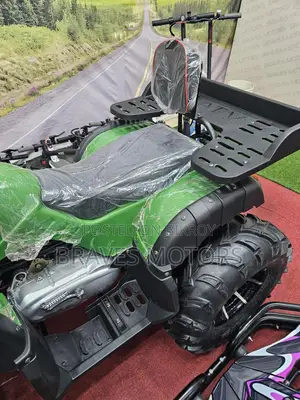 Zongshen Spark ZS Quad Bike CVT Engine 2025